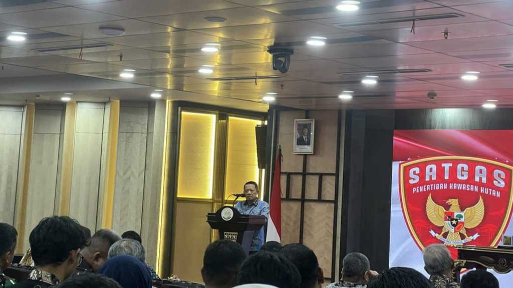 Search image article