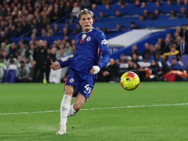 Search image article