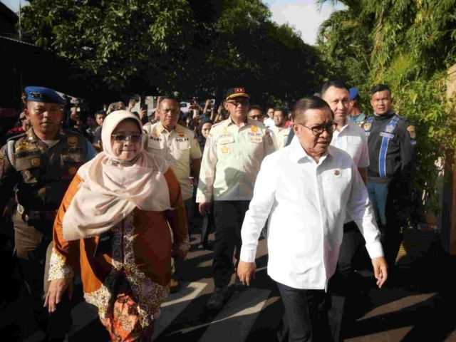 Search image article