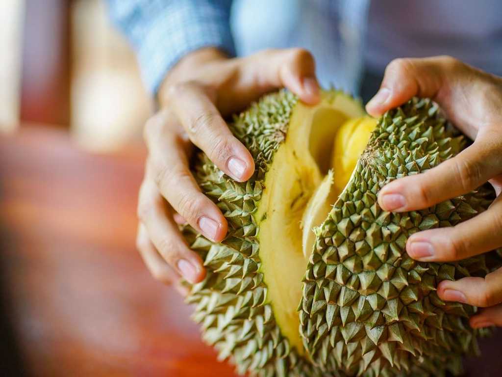 Malaysia Seriusi Usulan Durian Jadi Buah Nasional, Ini Alasannya