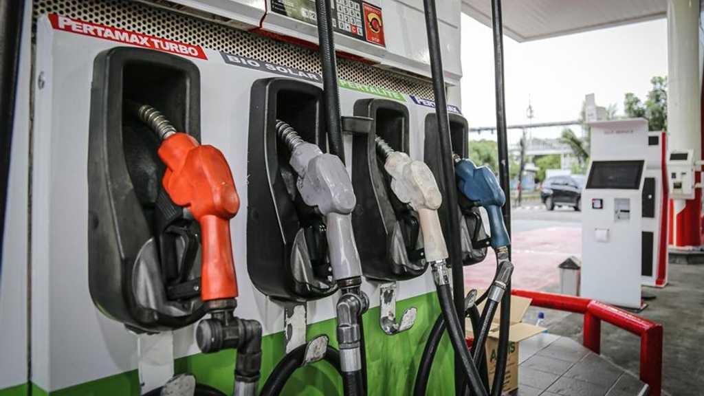 Search image article