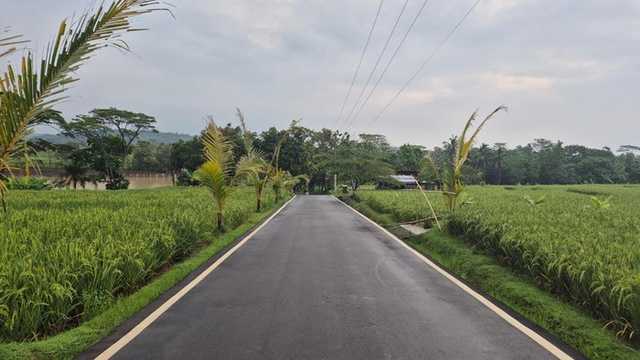 Search image article