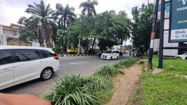Pohon Tumbang di Pondok Indah: Pengemudi Lexus Tewas Seketika