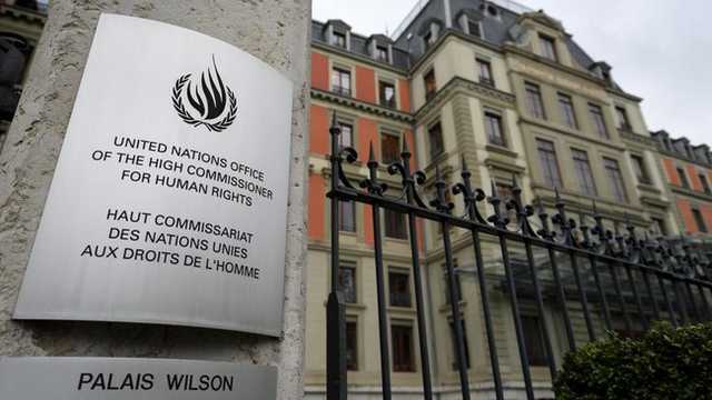 Search image article