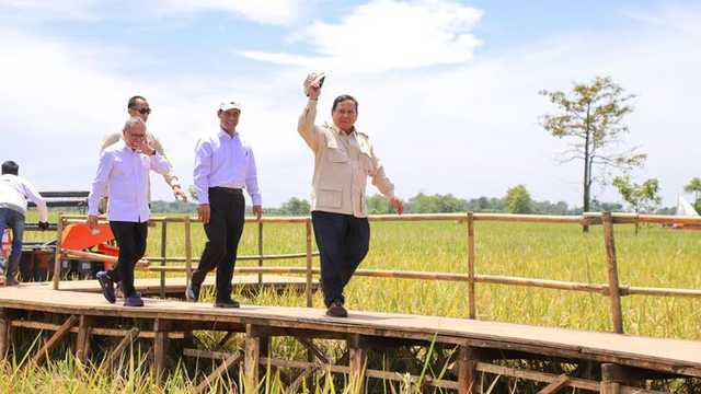 Search image article