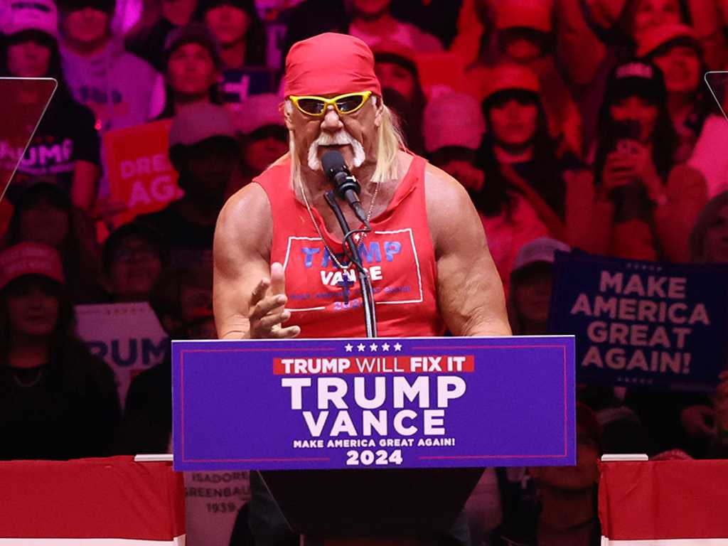 Mantan Istri Hulk Hogan Duga Snub Emmy karena Dukungan Trump