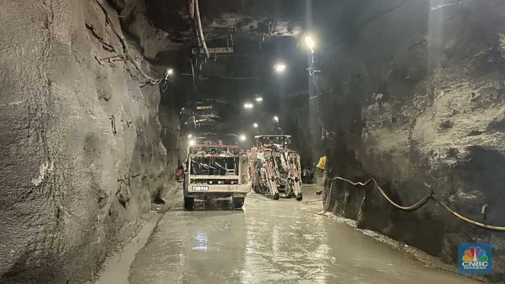 Search image article