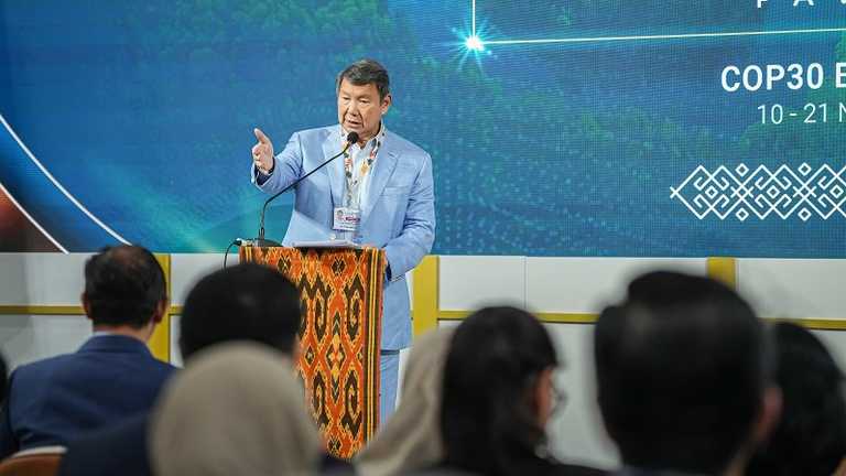 Search image article