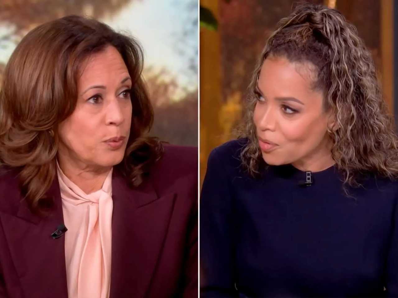 Search image article