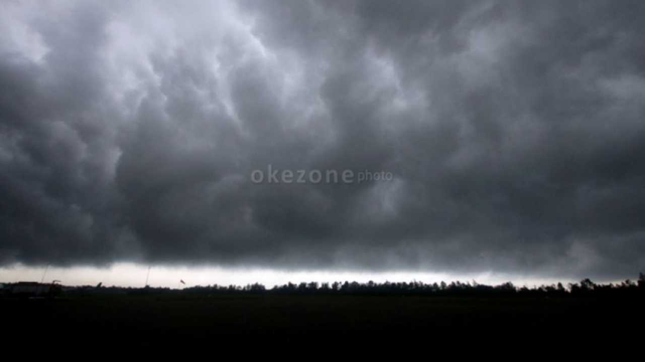 Search image article