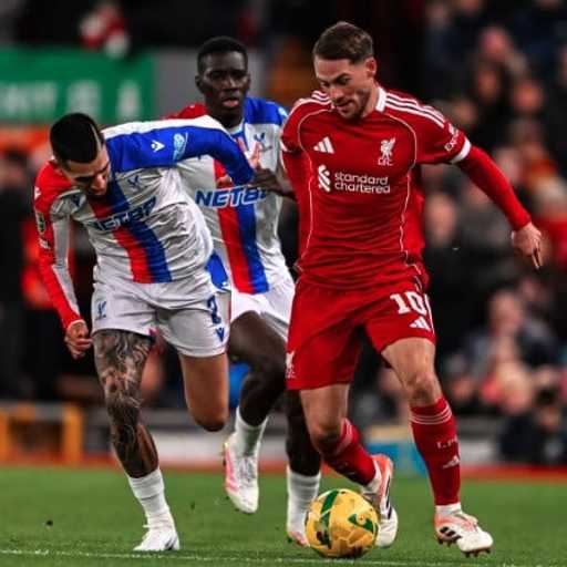 Search image article