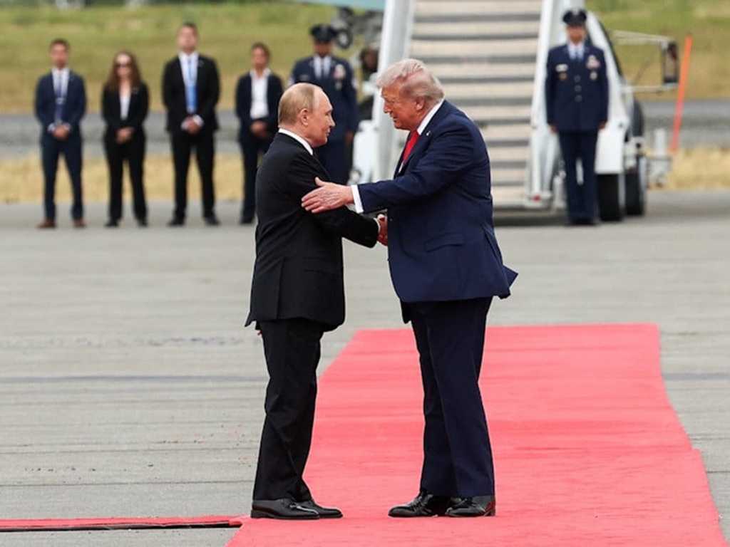 Search image article