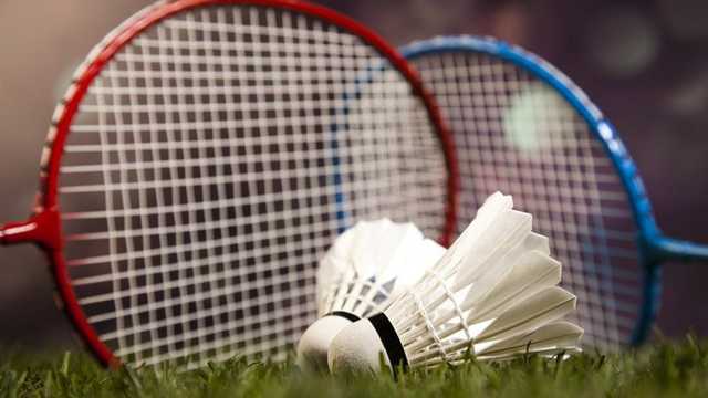 Search image article