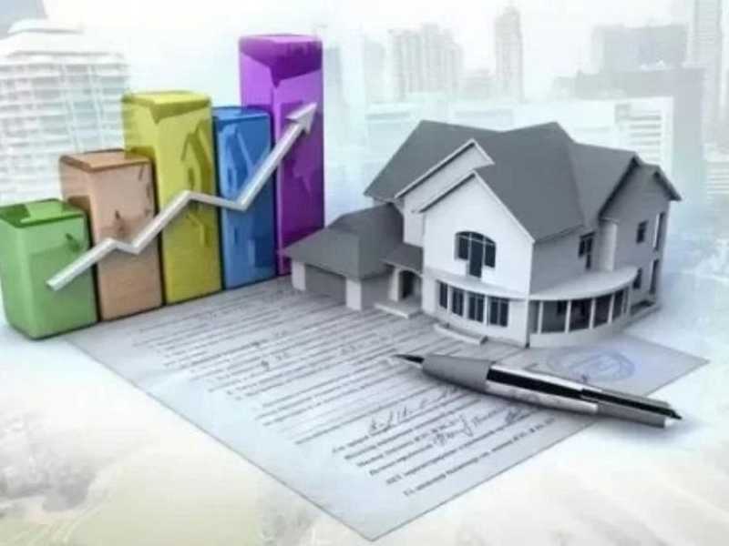 Search image article