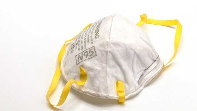 Search image article