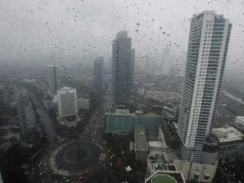 Search image article