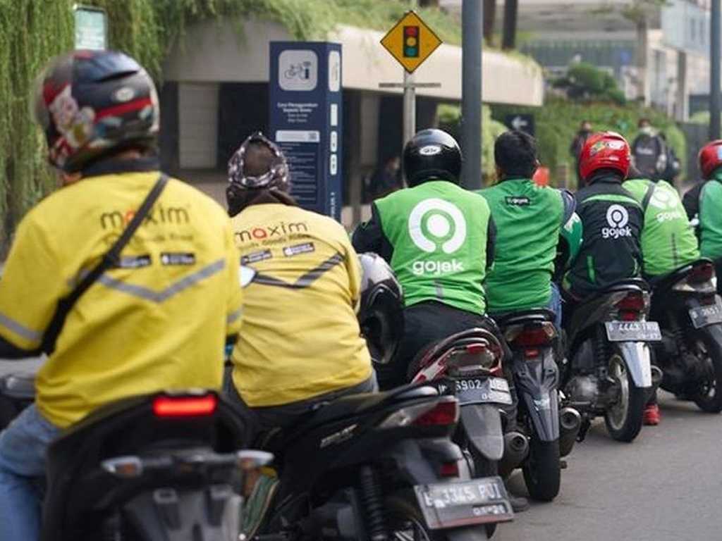 Search image article