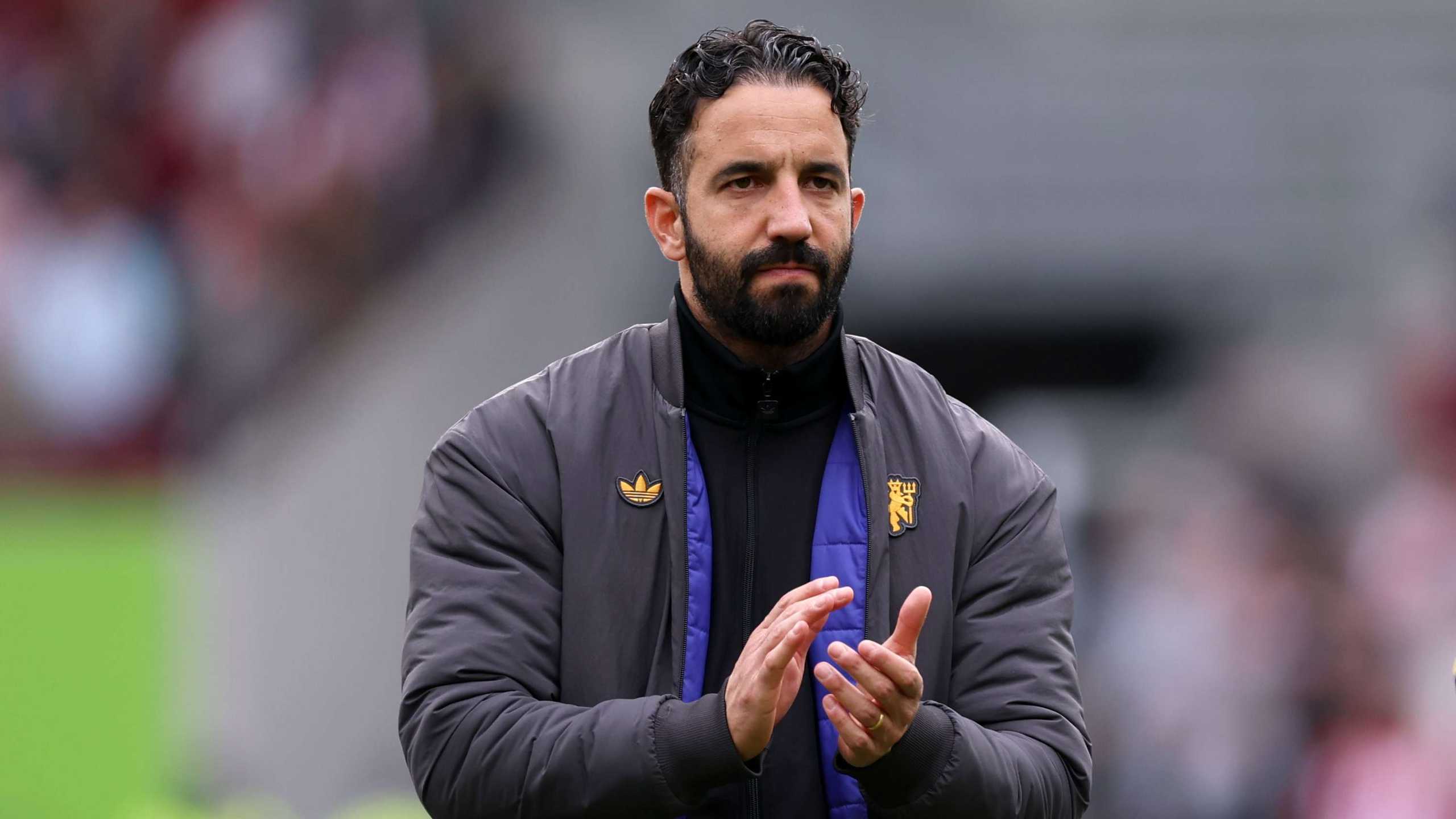 Search image article