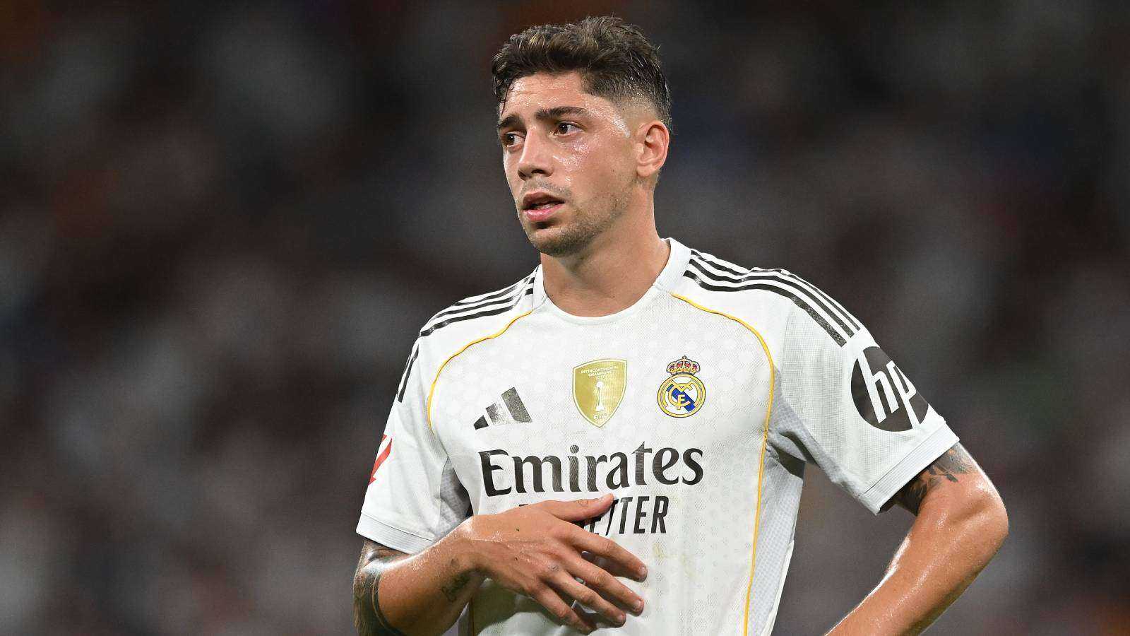 Search image article