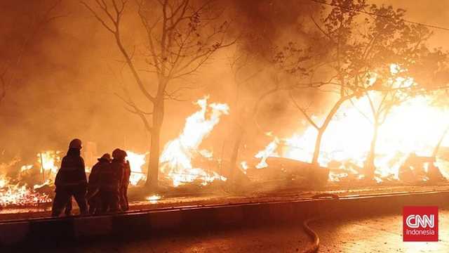 Search image article