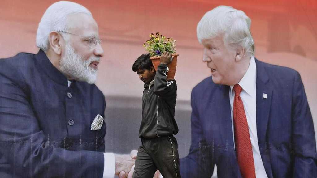 Search image article