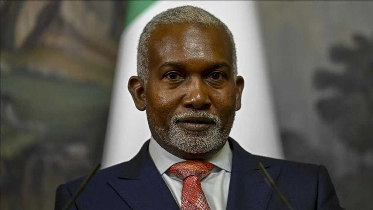 Search image article