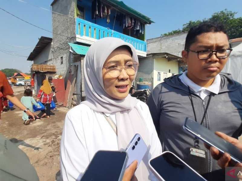 Search image article