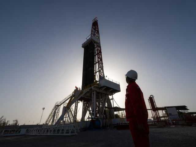 Search image article