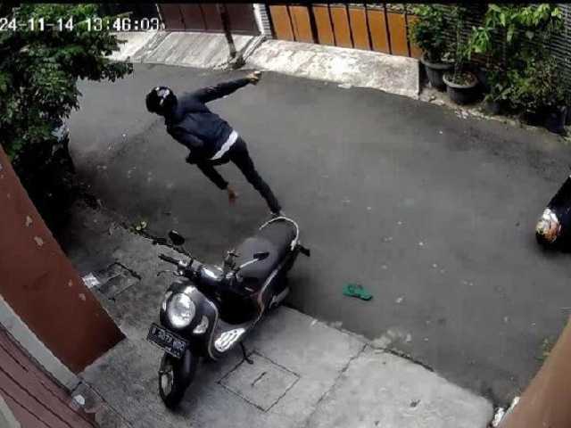 Search image article