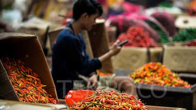 BUMD Sumut Impor 50 Ton Cabai: Tekan Inflasi Tertinggi Nasional