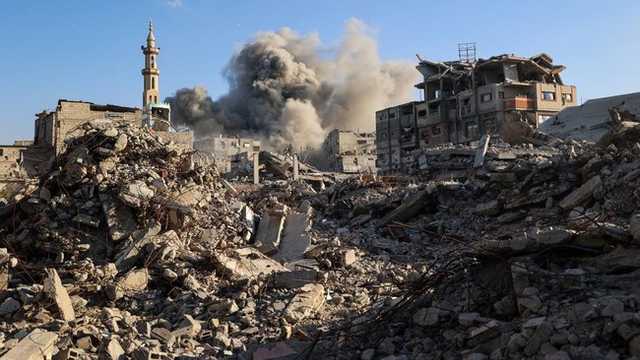 Search image article