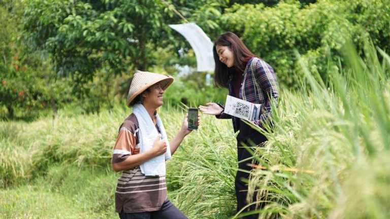 Search image article