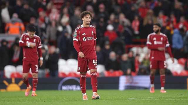 Search image article