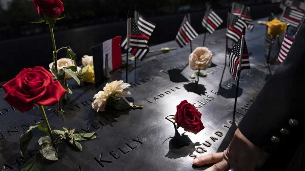 Search image article