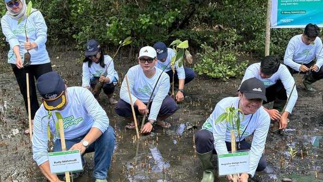 ASDP Tanam 3.000 Mangrove di Bitung: Langkah Nyata Kurangi Emisi Karbon