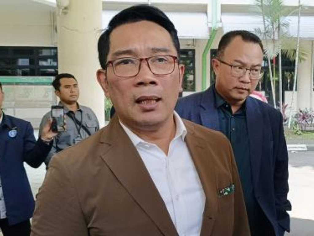 Search image article