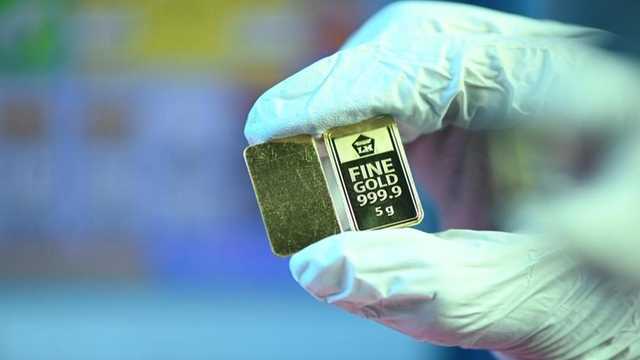 Search image article