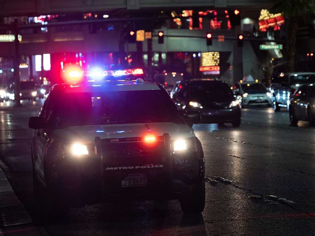 Ibu Tiga Anak di AS Bantu Polisi Kejar Maling