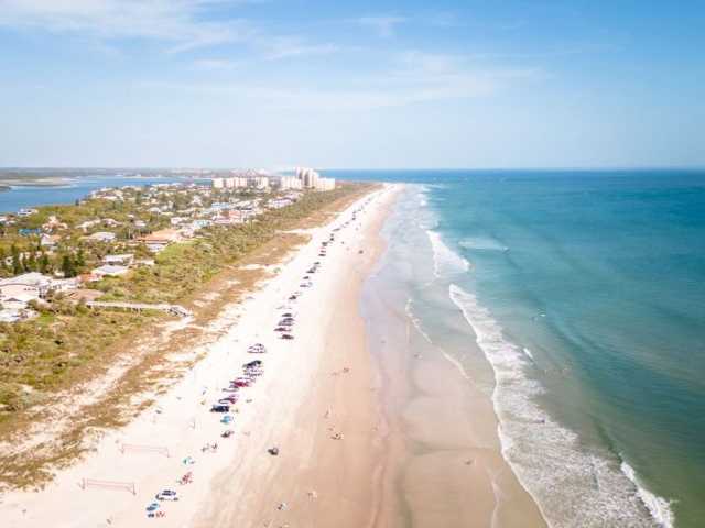 Search image article