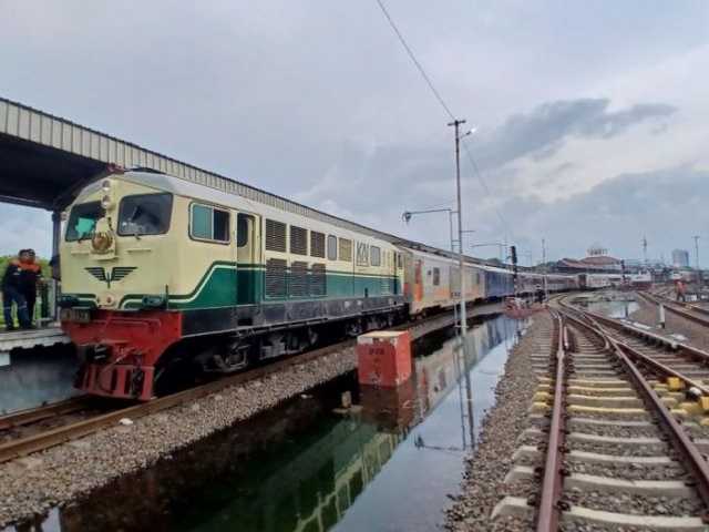 Search image article