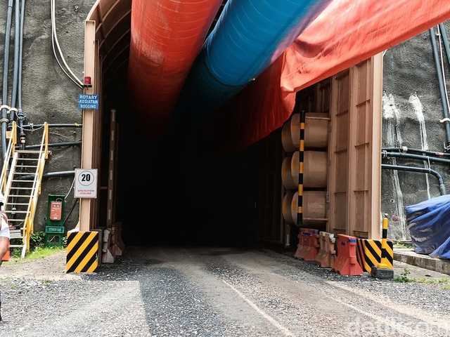 Search image article