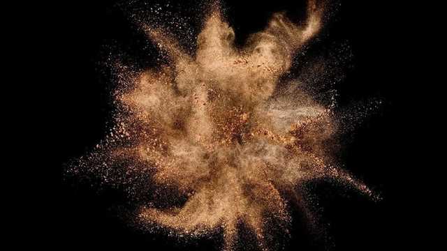 Search image article