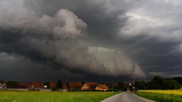 Search image article