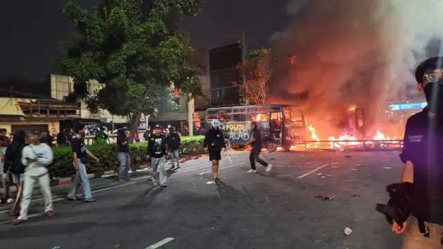 Search image article