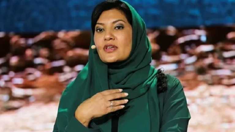 Search image article