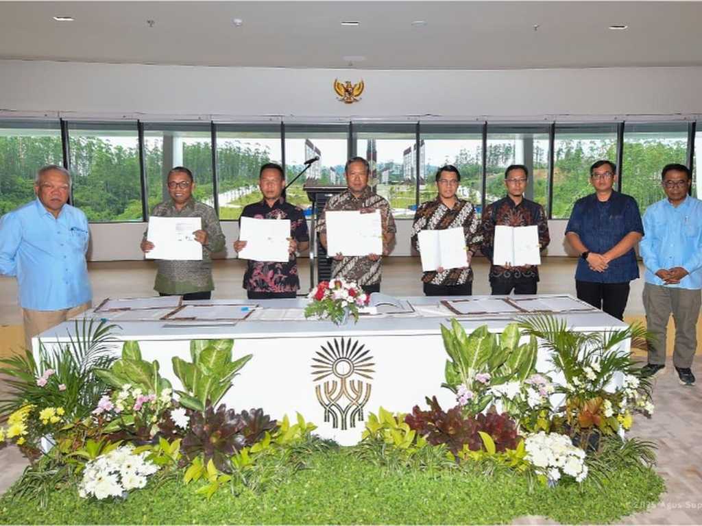 Search image article