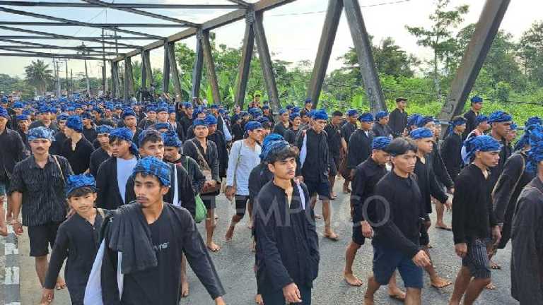 Search image article