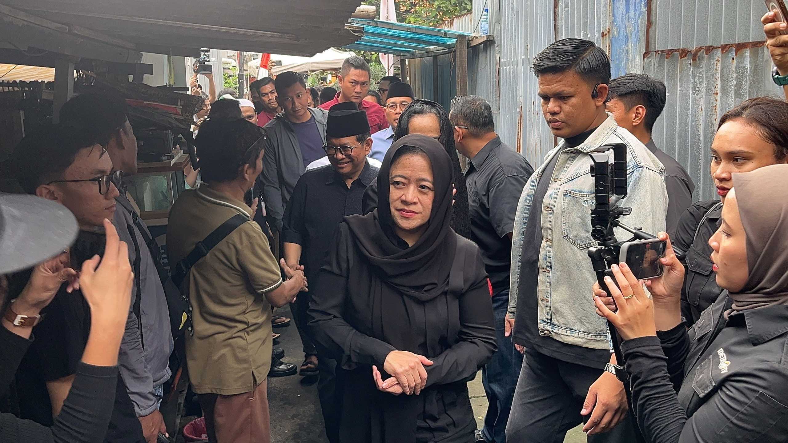 Search image article