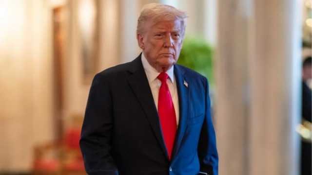 Search image article