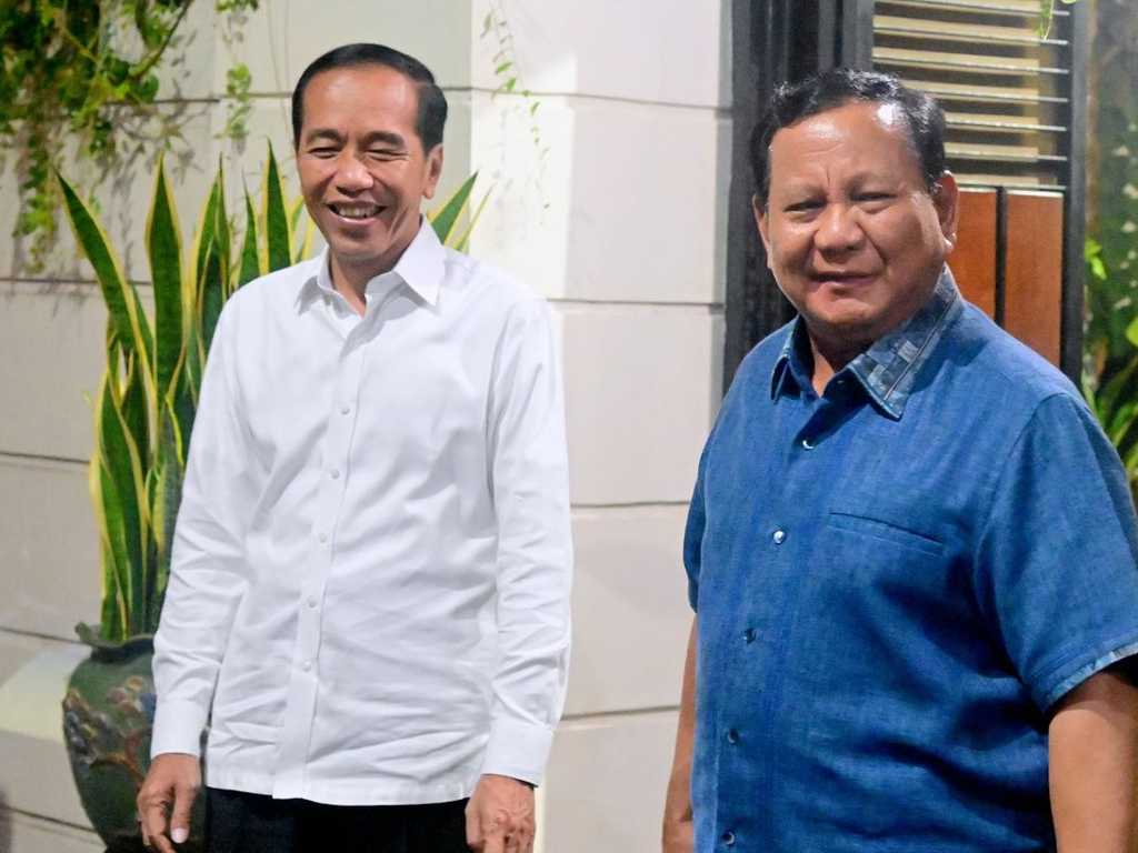 Search image article